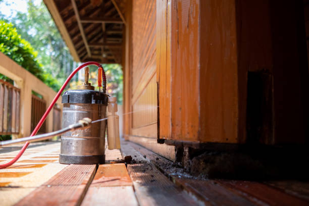 Pest Control Cost in Rochester, WI