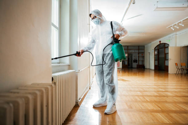 Professional Pest Control in Rochester, WI