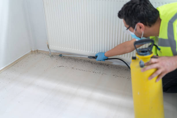 Best Pest Removal Services  in Rochester, WI